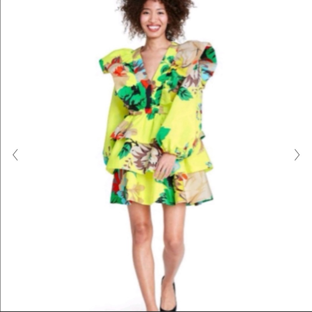 Sz 14 Floral ChristopherJohn RobertsXTarget Dress